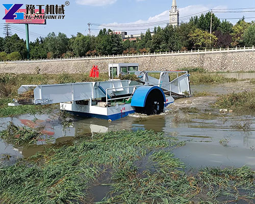 seaweed removal machine for sale